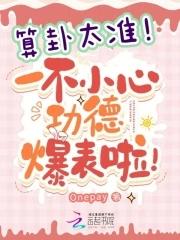 一不小心功德爆表啦笔趣阁