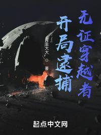 开局逮捕无证穿越者TXT