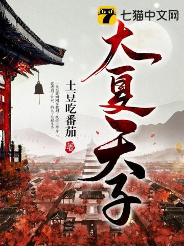 大夏天子免费