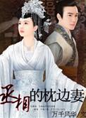 丞相的枕边妻全文阅读