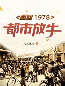 重返1978年
